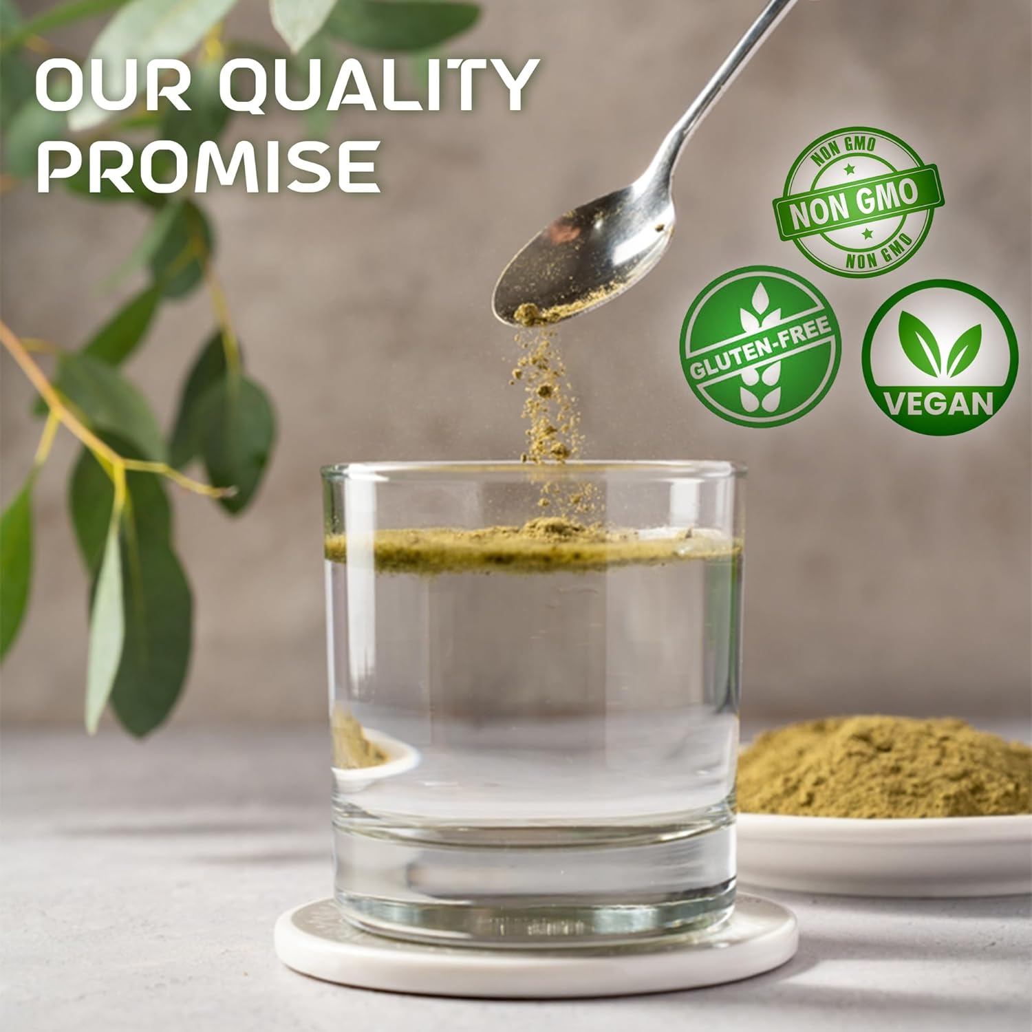 Moringa Powder | Superfood